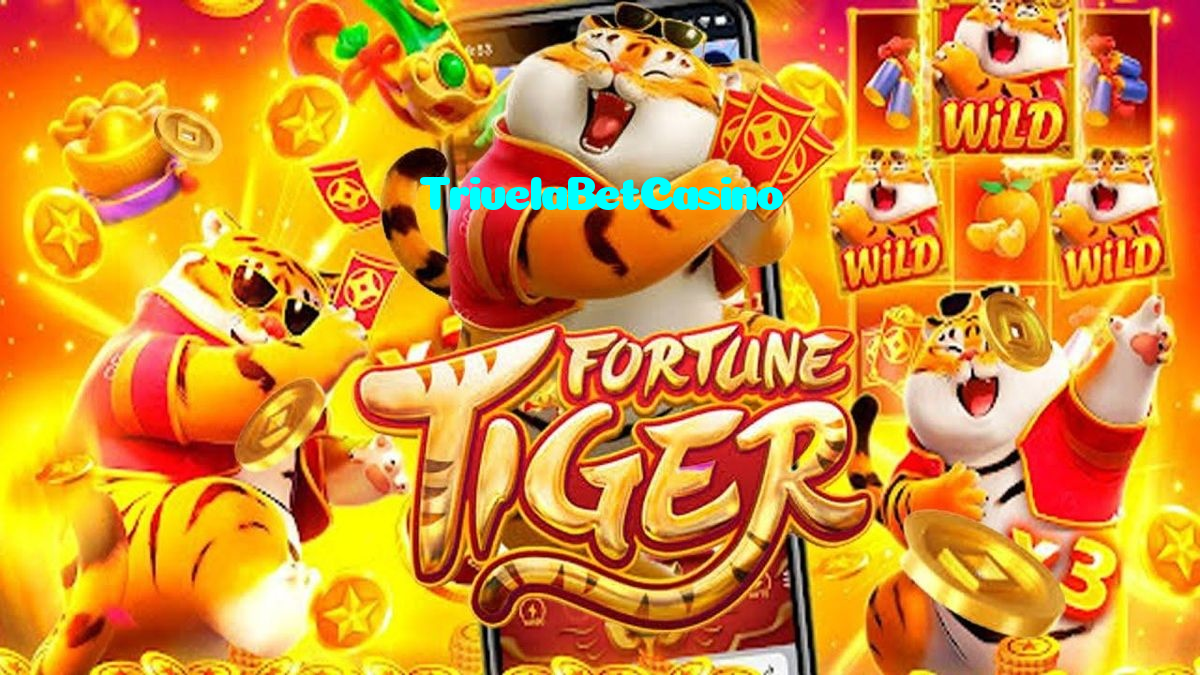 TrivelaBetCasino casino presented on mobile device in Pakistan with slots and live games
