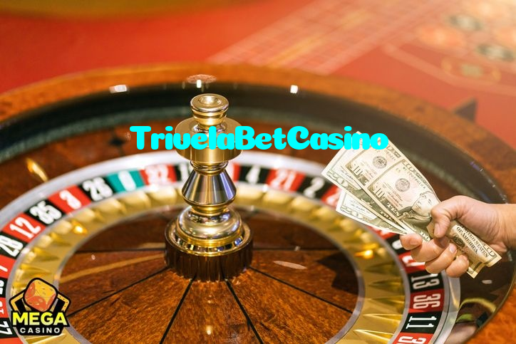 available types of TrivelaBetCasino bet including pre-match live express and system bets